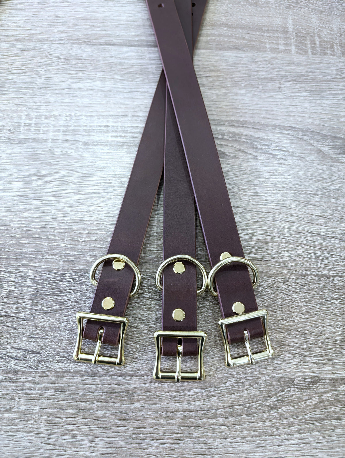 Dog Collar- Black With Nickle