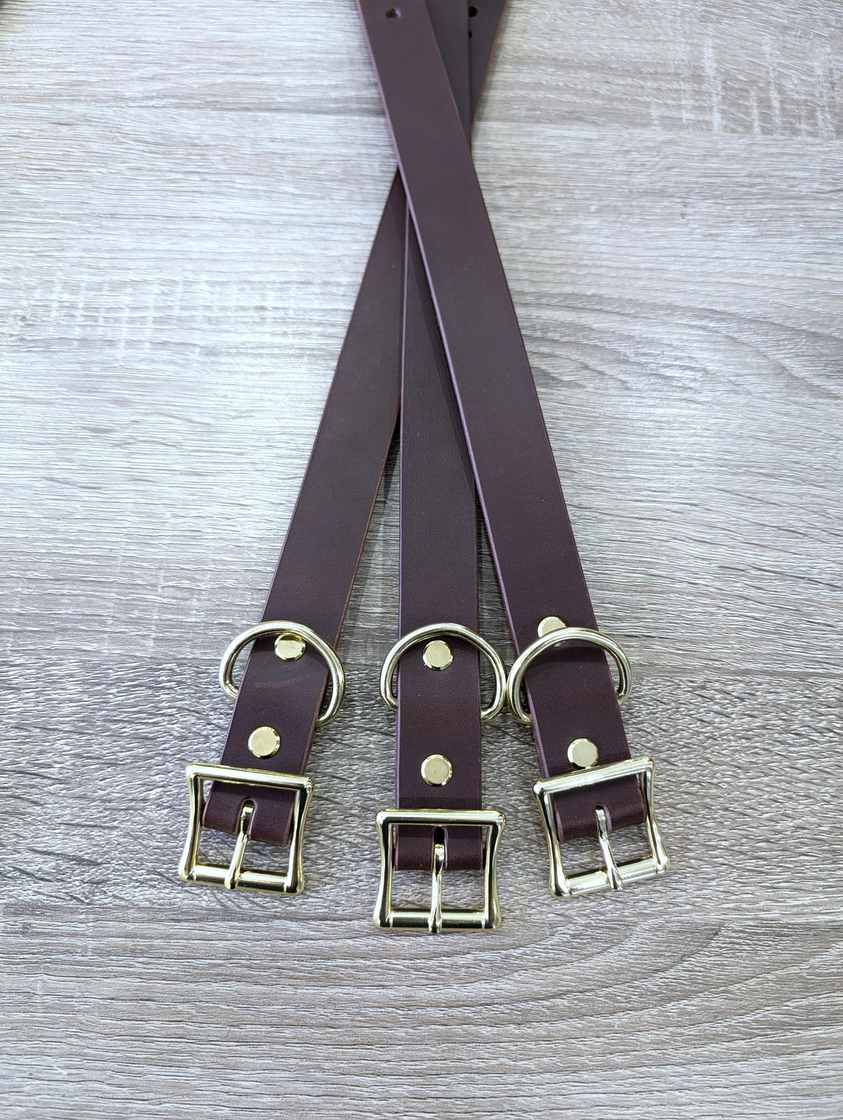 Dog Collar- Black With Nickle