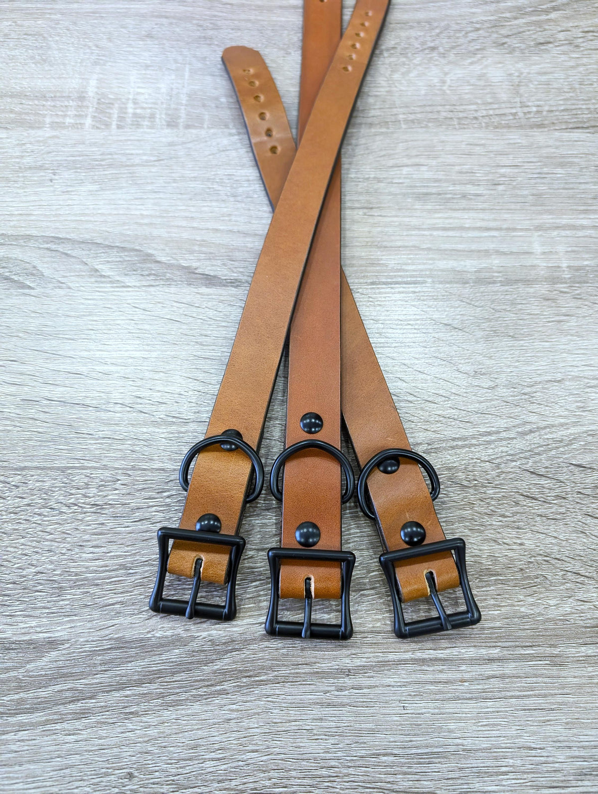 Dog Collar- Black With Nickle