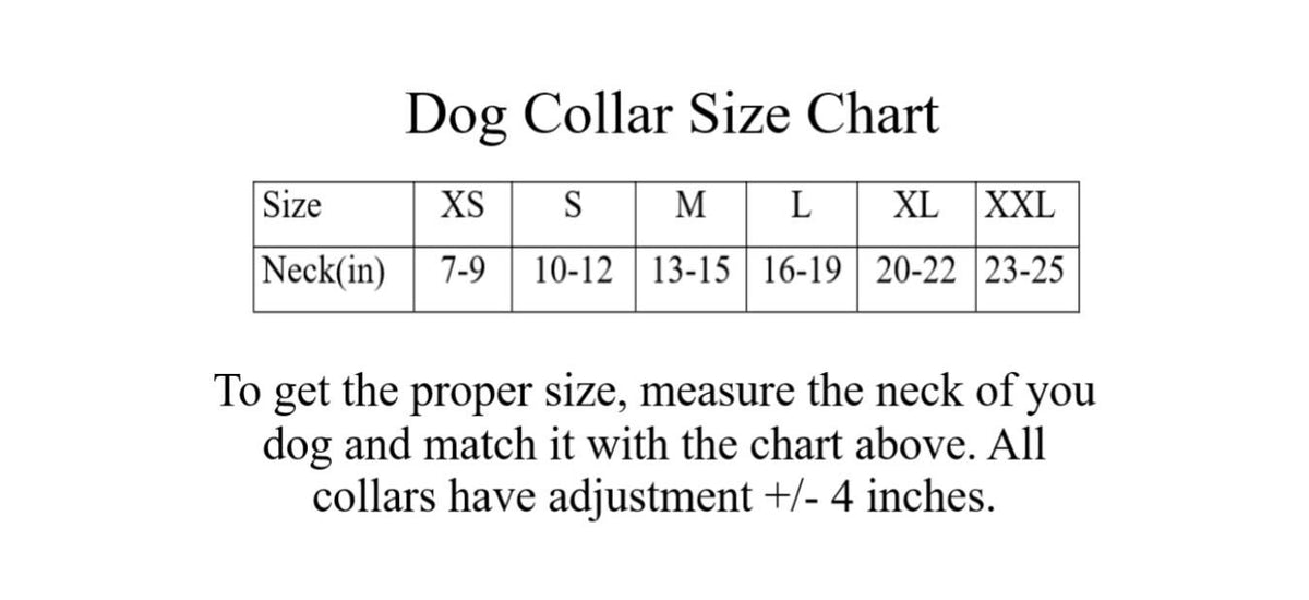 Dog Collar- Black With Nickle