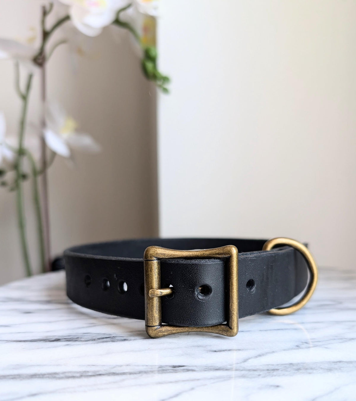 Dog Collar- Black With Nickle