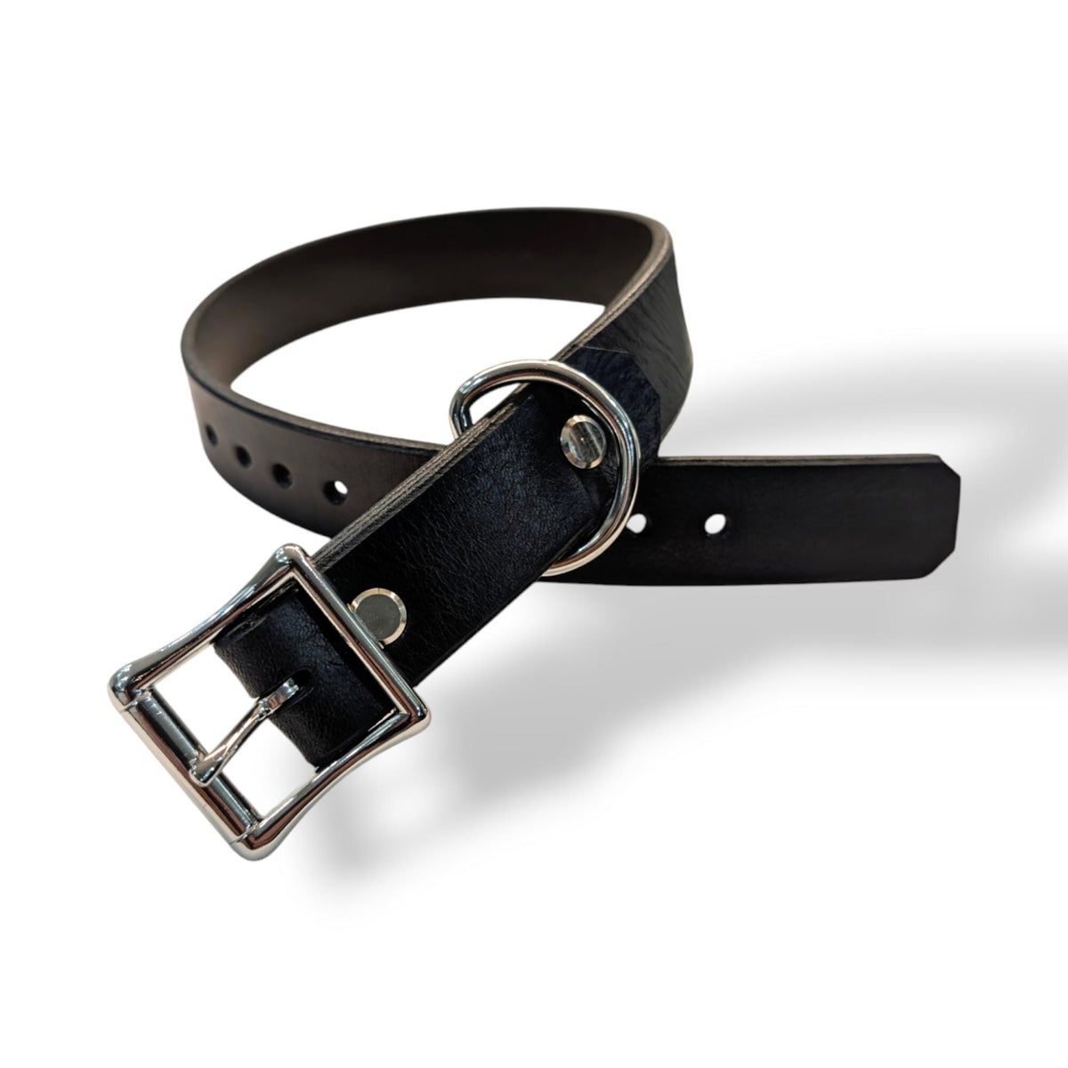 Dog Collar- Black With Nickle