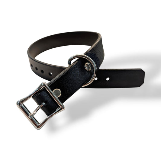 Dog Collar- Black With Nickle