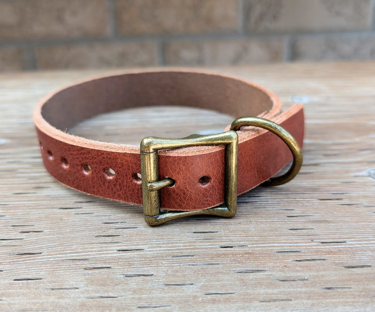 Dog Collar- Black With Nickle