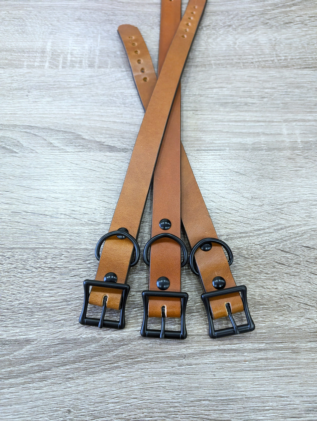 Dog Collar- Black With Nickle