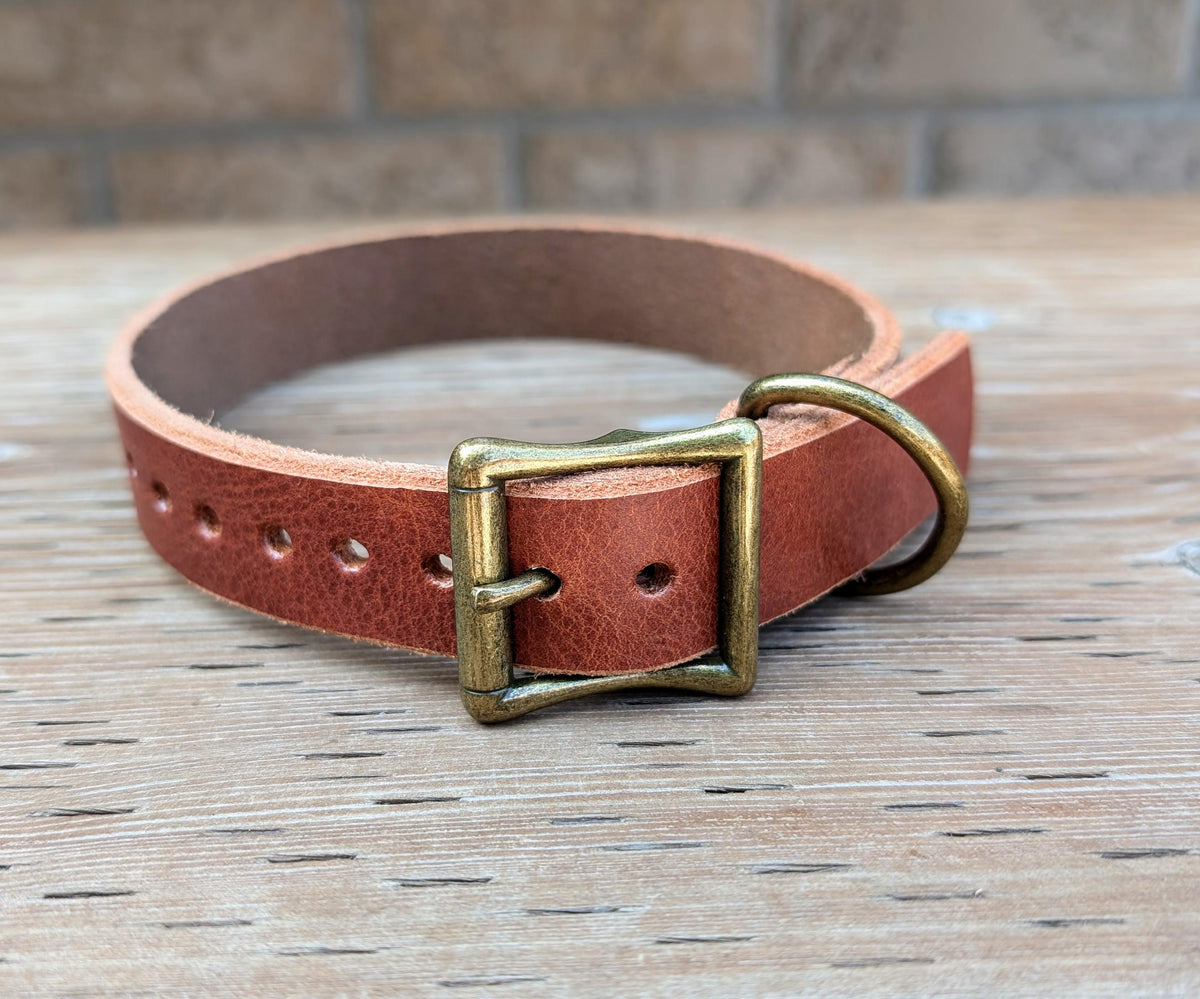 Dog Collar- Black With Nickle